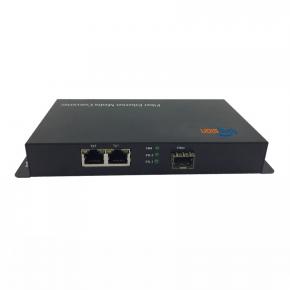 1000Base-TX 1 SFP port 2 RJ45 Ports Media Converter